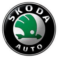 Autoankauf auto verkaufen skoda